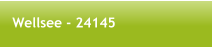 Wellsee - 24145