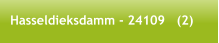 Hasseldieksdamm - 24109   (2)