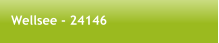 Wellsee - 24146