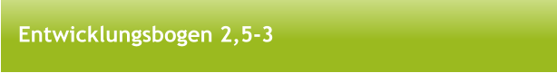 Entwicklungsbogen 2,5-3