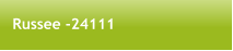Russee -24111