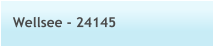Wellsee - 24145