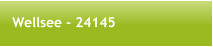 Wellsee - 24145
