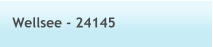 Wellsee - 24145