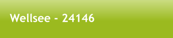 Wellsee - 24146