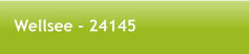 Wellsee - 24145