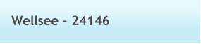 Wellsee - 24146