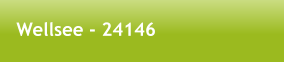 Wellsee - 24146