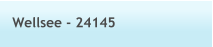 Wellsee - 24145