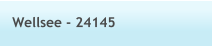 Wellsee - 24145