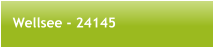 Wellsee - 24145