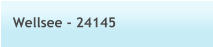 Wellsee - 24145